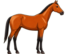 Akhal-Teke