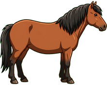 Dartmoor