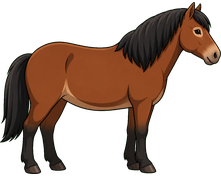 Exmoorpony