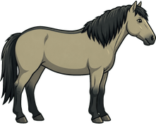 Konik