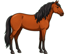 Lipizzaner
