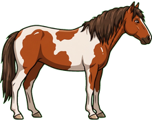 Mustang