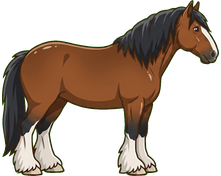 Shire