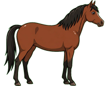 Welsh pony